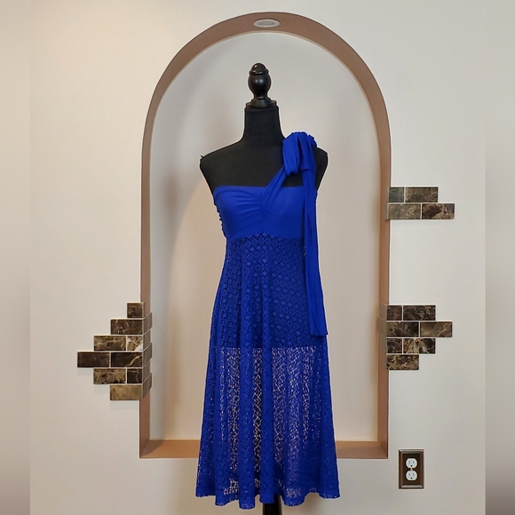 La Vie En Rose Aqua Two-way Lace Skirt-Dress ( Size XS) - Picture 5 of 7